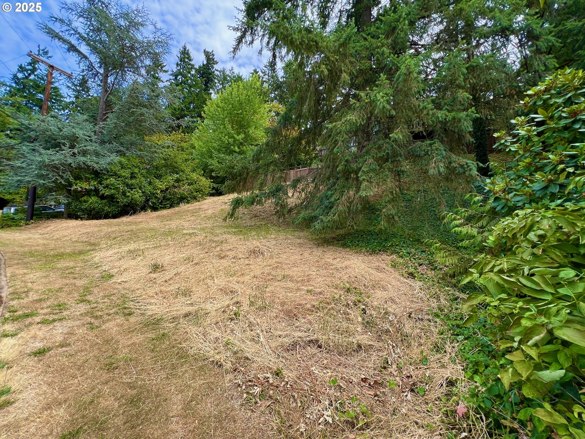 3046 Whitbeck Boulevard Eugene, OR 97405 - Photo 3 of 14 a view of a yard with a tree