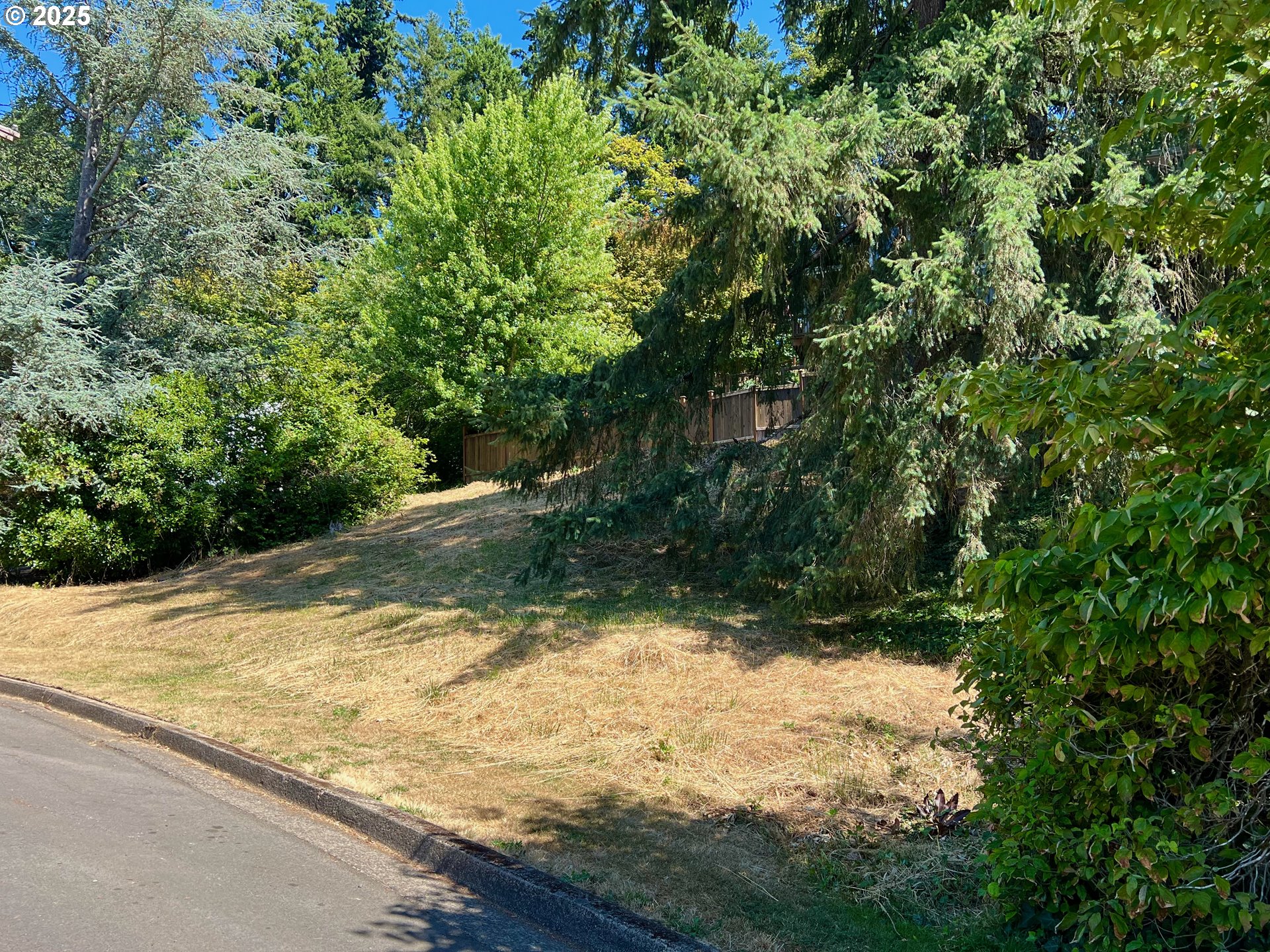 3046 Whitbeck Boulevard Eugene, OR 97405 - Photo 4 of 14 a view of a backyard of the house