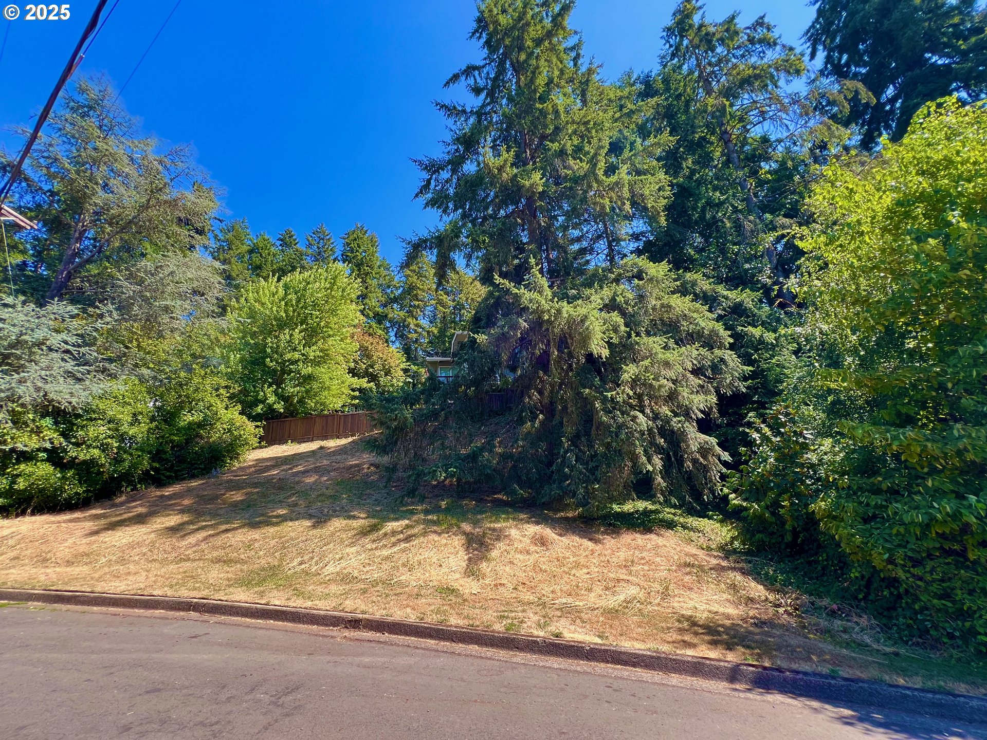 3046 Whitbeck Boulevard Eugene, OR 97405 - Photo 5 of 14 a view of a yard with plants and trees