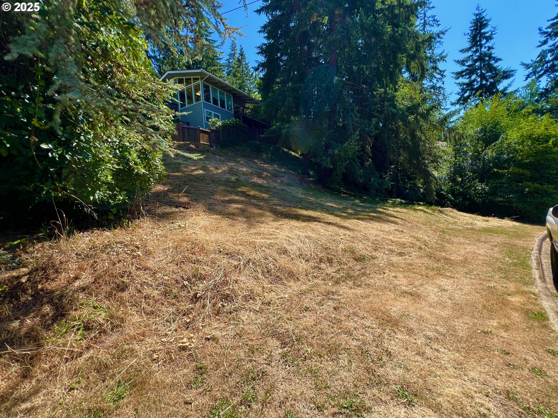 3046 Whitbeck Boulevard Eugene, OR 97405 - Photo 6 of 14 a backyard of a house with lots of green space