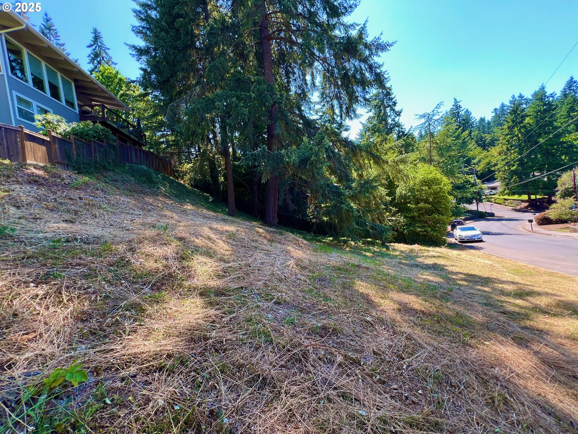 3046 Whitbeck Boulevard Eugene, OR 97405 - Photo 7 of 14 a view of a yard with plants and trees