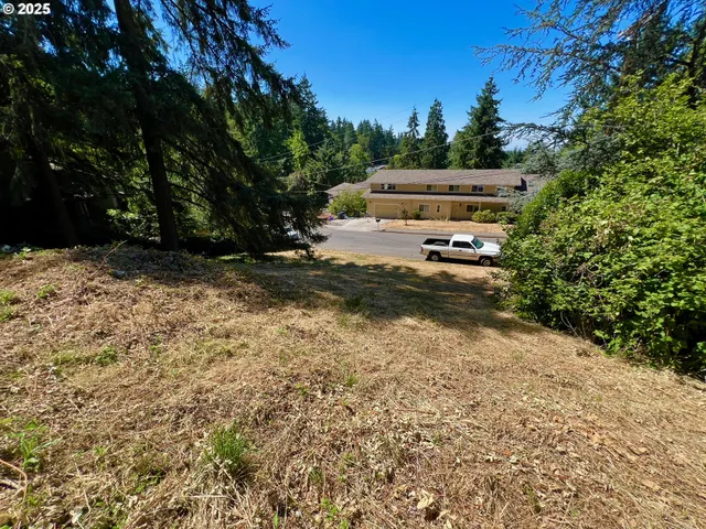 a view of a yard with pathway