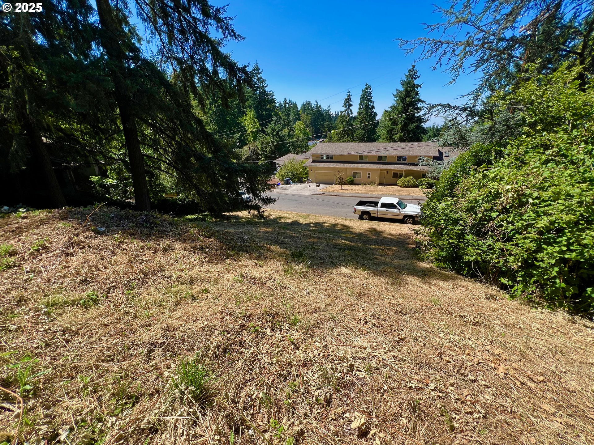 3046 Whitbeck Boulevard Eugene, OR 97405 - Photo 8 of 14 a view of a yard with pathway
