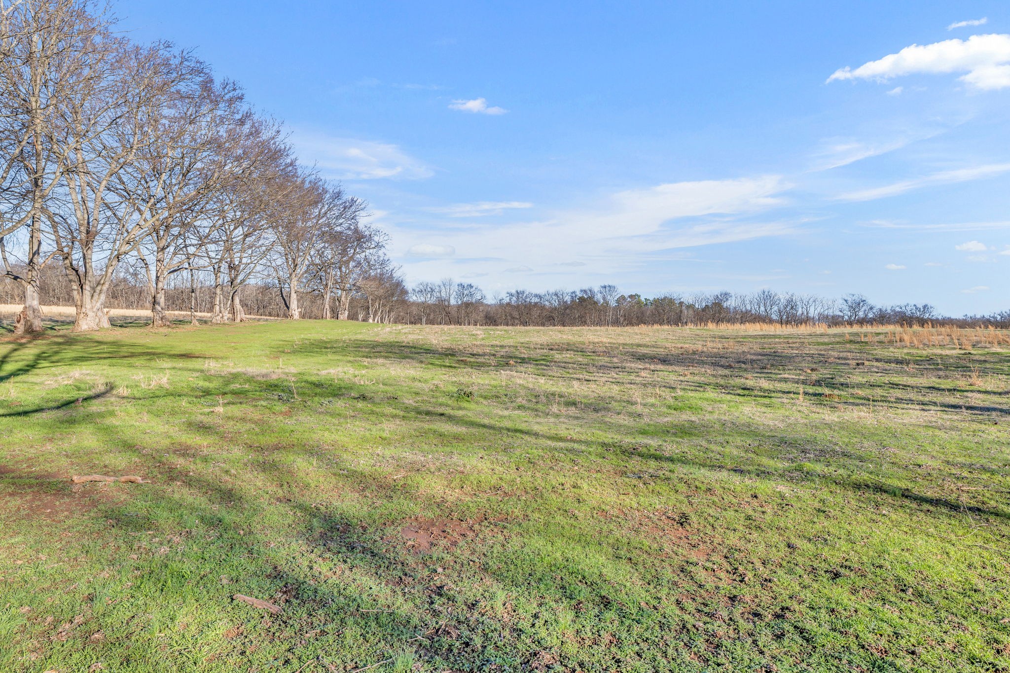 0 Enterprise Road Mount Pleasant, TN 38474 - Photo 1 of 30 Gallery Image 1