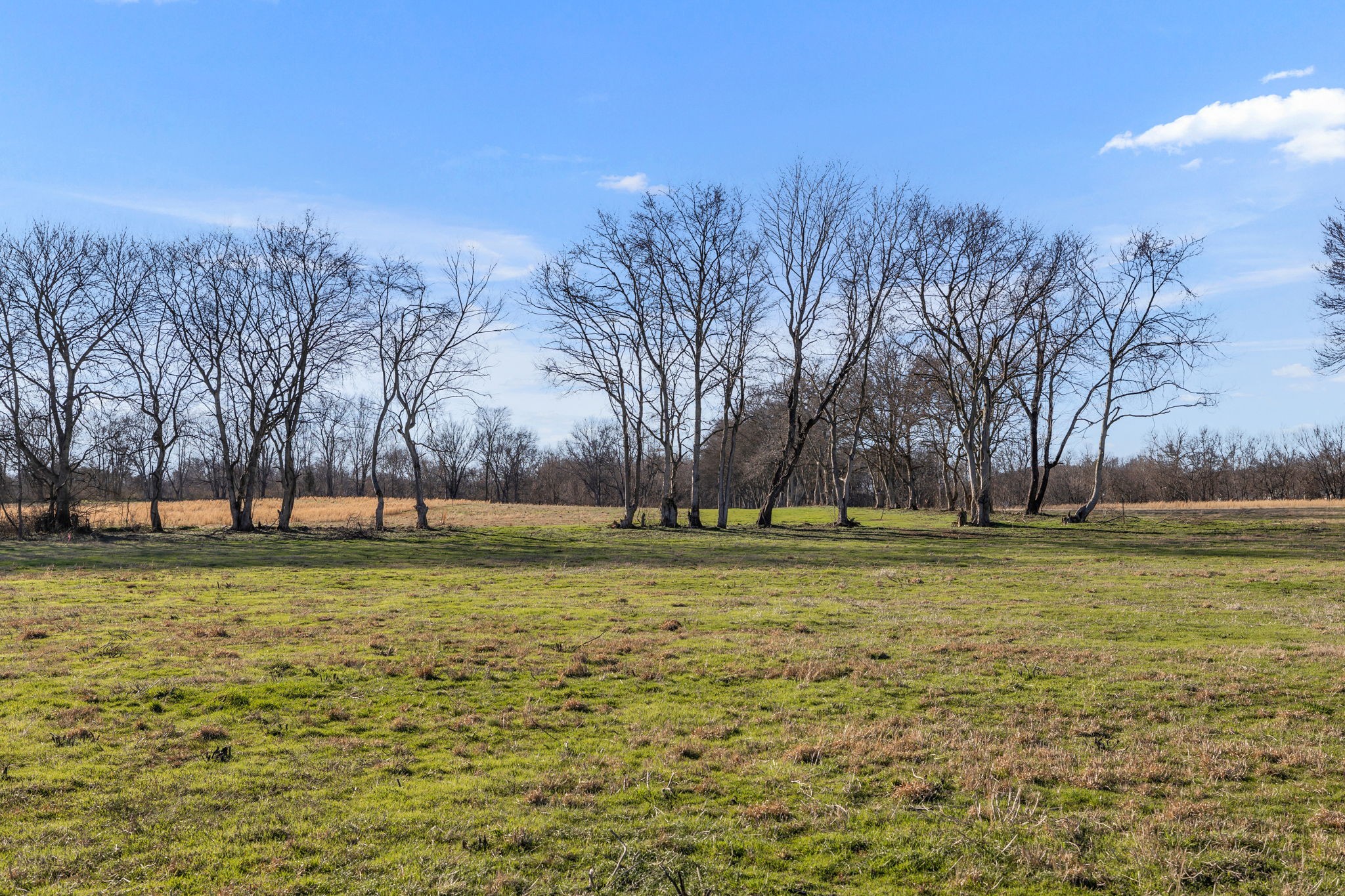 0 Enterprise Road Mount Pleasant, TN 38474 - Photo 14 of 30 Gallery Image 14