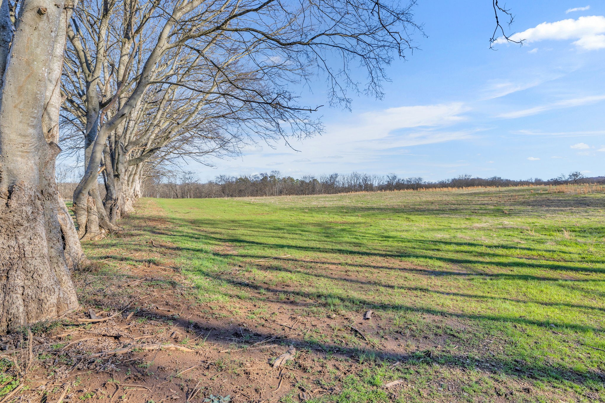 0 Enterprise Road Mount Pleasant, TN 38474 - Photo 3 of 30 Gallery Image 3