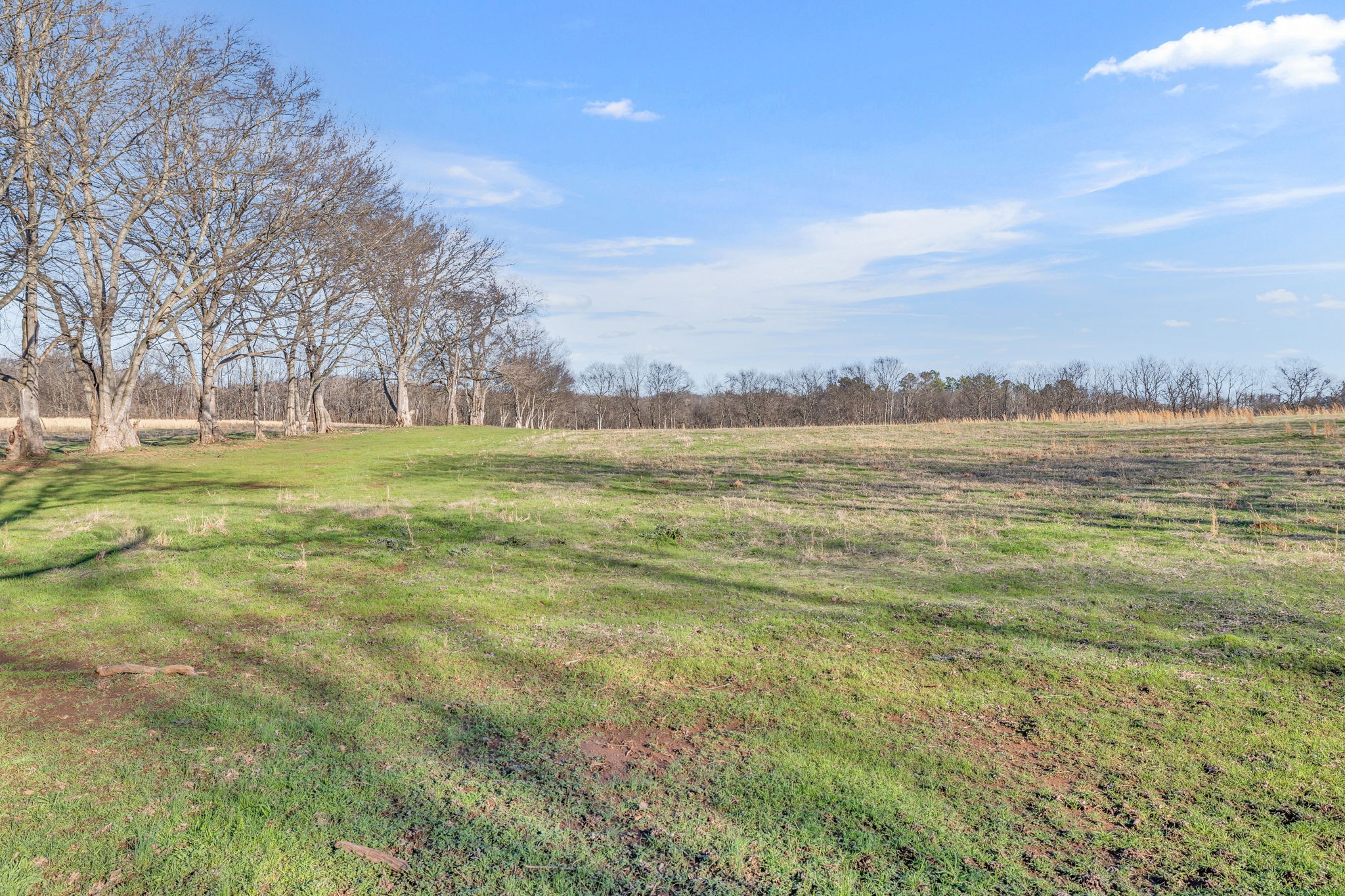 0 Enterprise Road Mount Pleasant, TN 38474 - Photo 4 of 30 Gallery Image 4