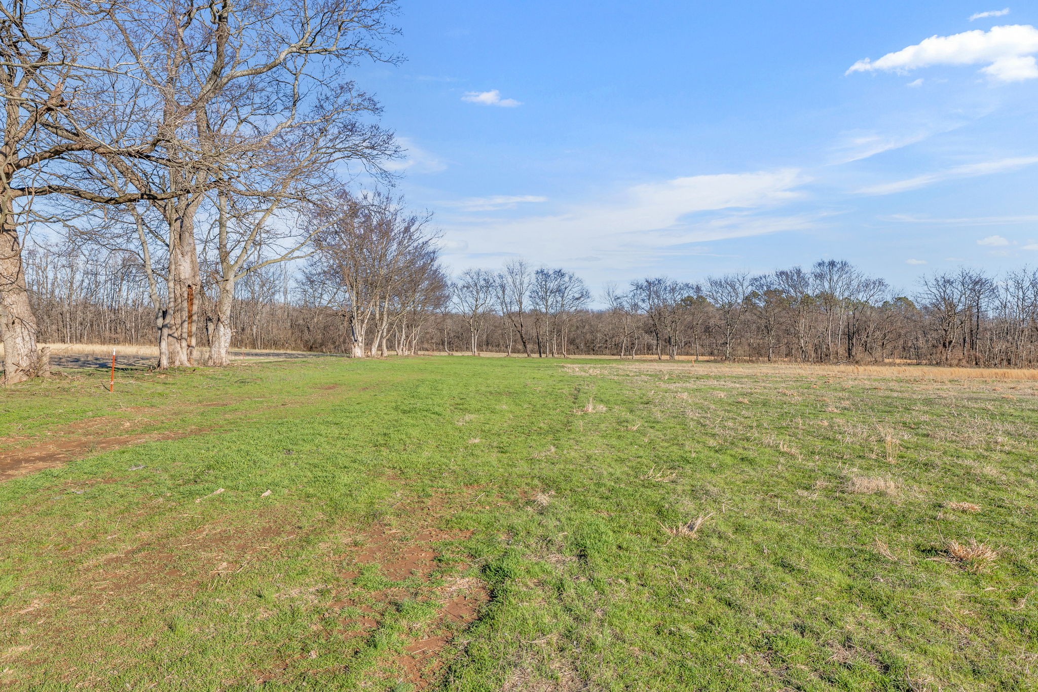 0 Enterprise Road Mount Pleasant, TN 38474 - Photo 6 of 30 Gallery Image 6