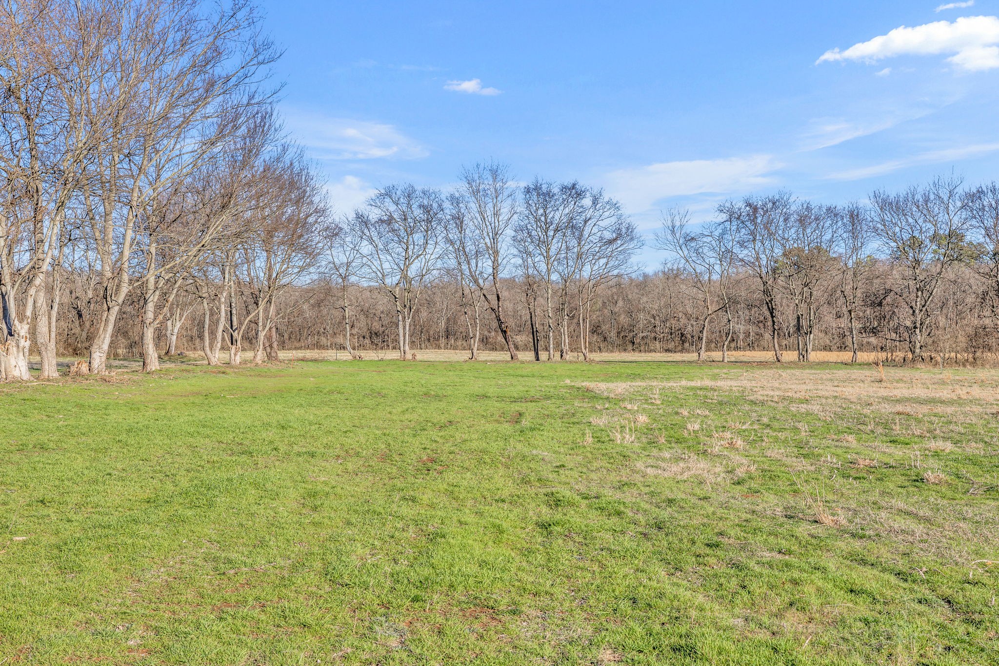 0 Enterprise Road Mount Pleasant, TN 38474 - Photo 7 of 30 Gallery Image 7