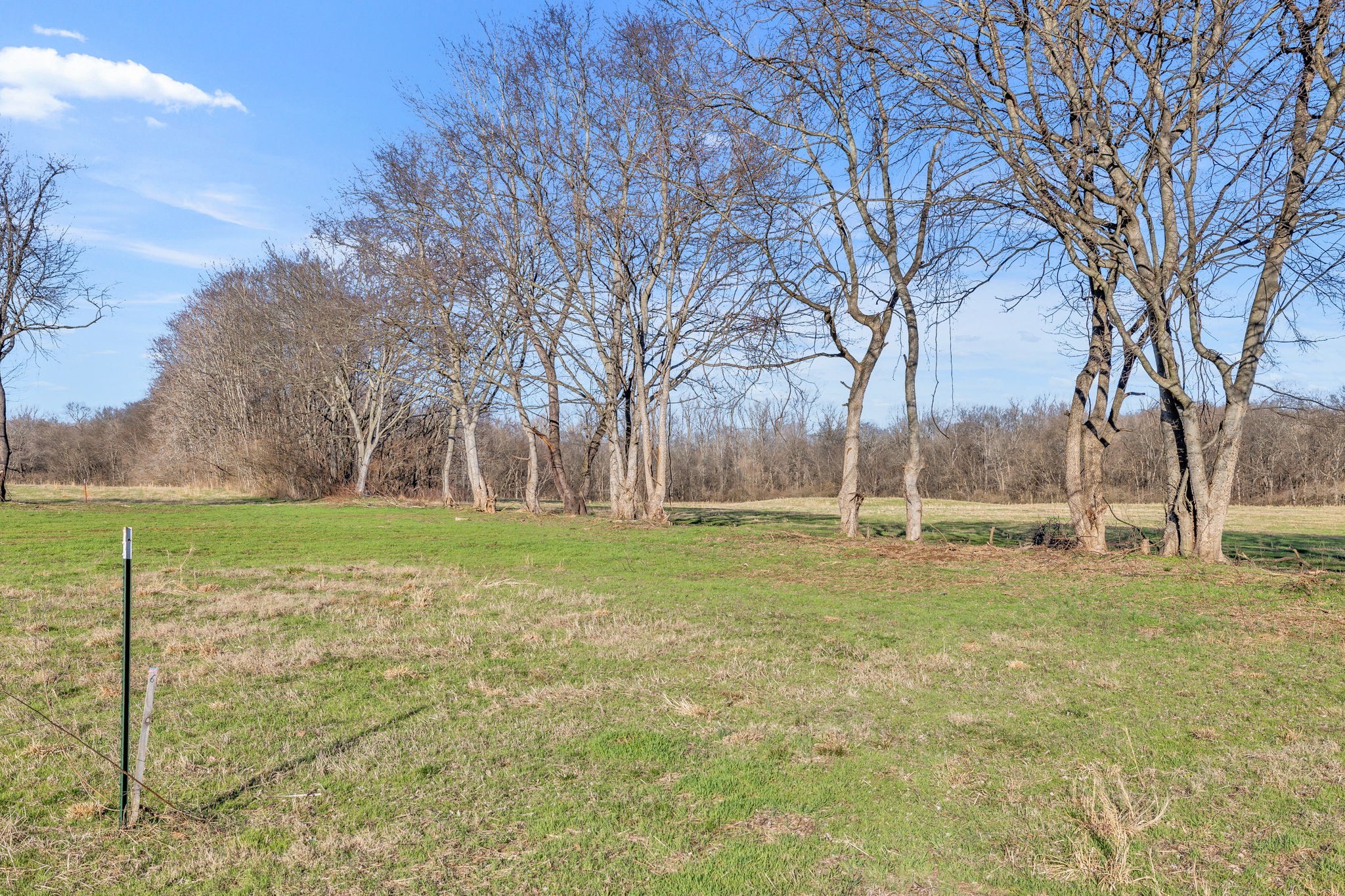 0 Enterprise Road Mount Pleasant, TN 38474 - Photo 8 of 30 Gallery Image 8