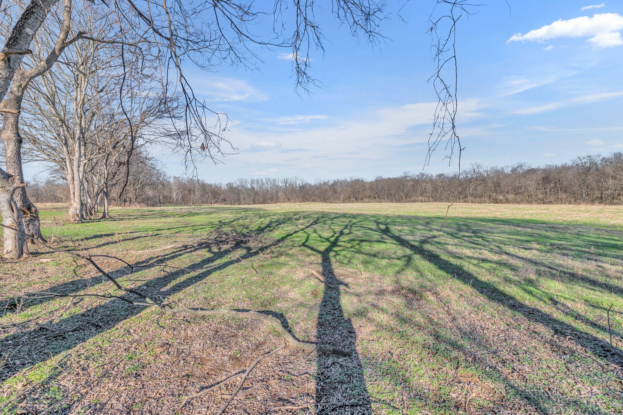 0 Enterprise Road Mount Pleasant, TN 38474 - Photo 9 of 30 Gallery Image 9