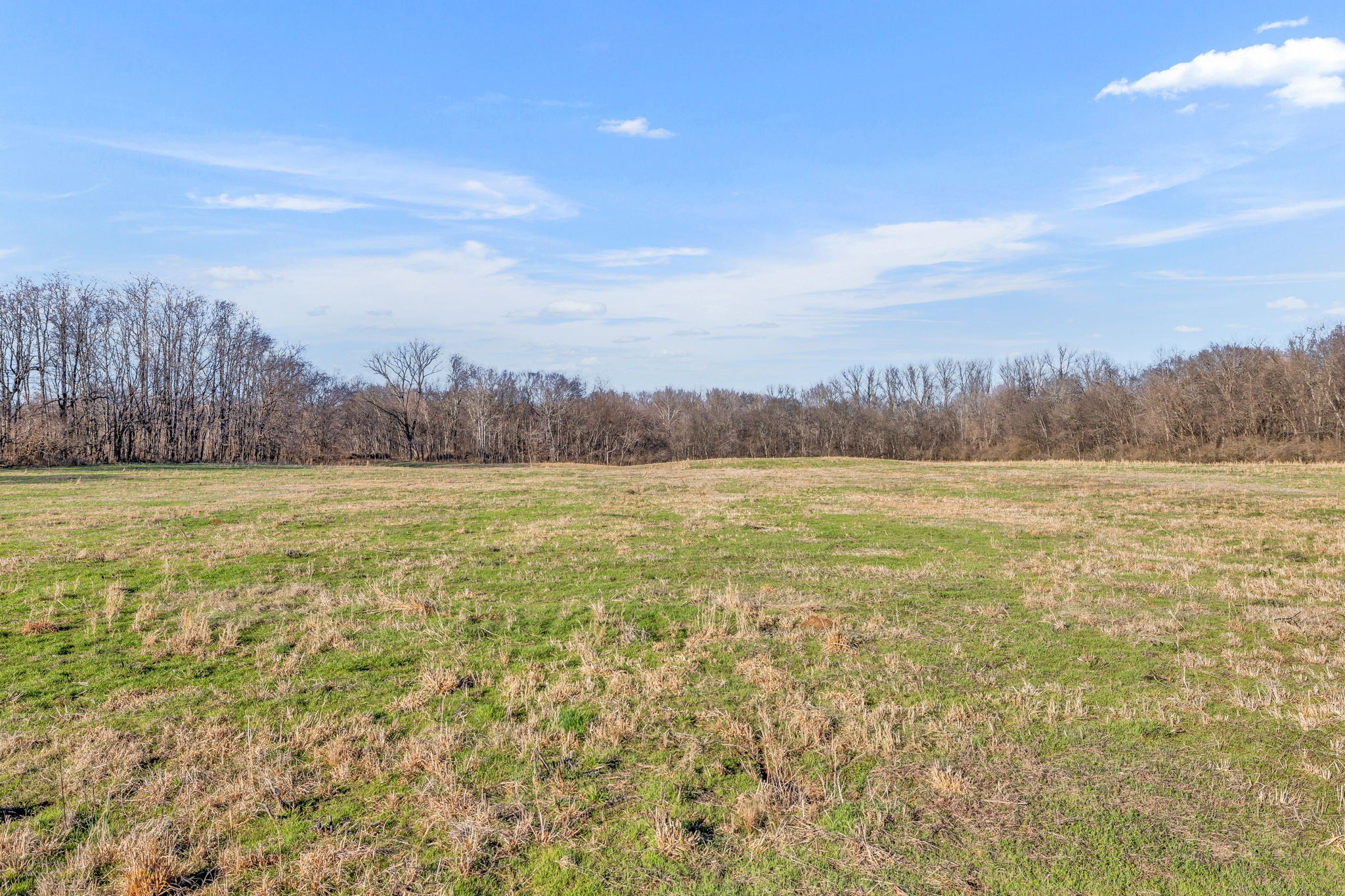 0 Enterprise Road Mount Pleasant, TN 38474 - Photo 10 of 30 Gallery Image 10