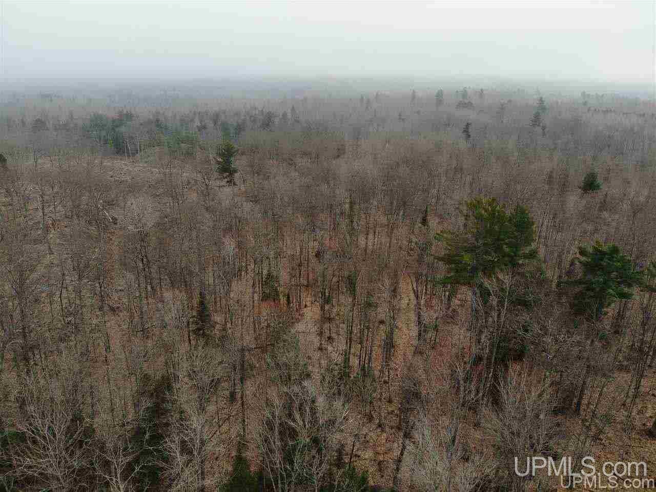 Tbd Plains Cutoff Road Baraga, MI 49908 - Photo 32 of 49