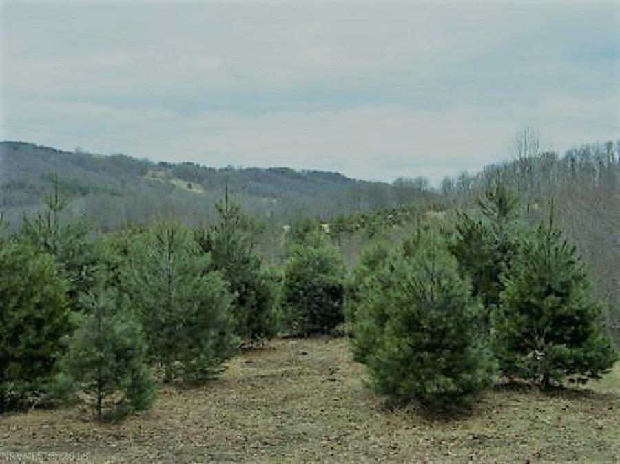 Black Ridge Road Floyd, VA 24091 - Photo 3 of 5 Gallery Image 3