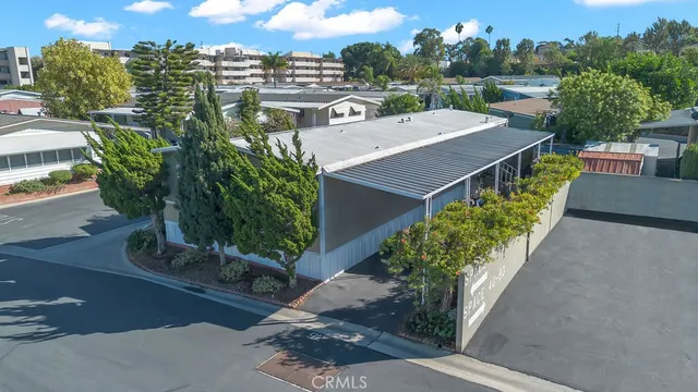 an outdoor view with plants