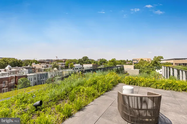 a view of a pathway with a garden