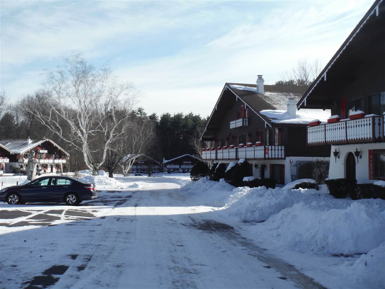 76 Linderhof Golf Course Road, Unit H1 Bartlett, NH 03838 - Photo 26 of 29