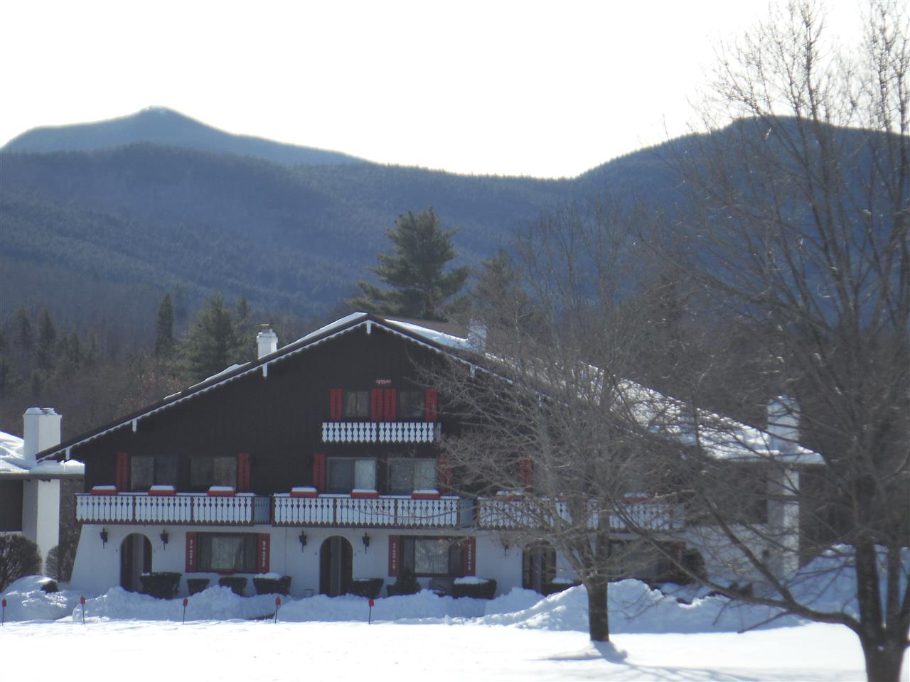 76 Linderhof Golf Course Road, Unit H1 Bartlett, NH 03838 - Photo 27 of 29
