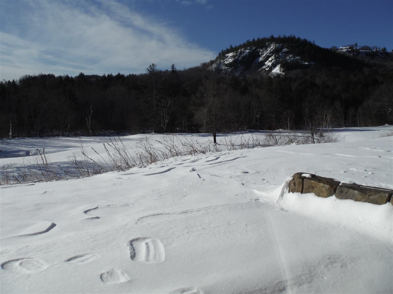 76 Linderhof Golf Course Road, Unit H1 Bartlett, NH 03838 - Photo 7 of 29