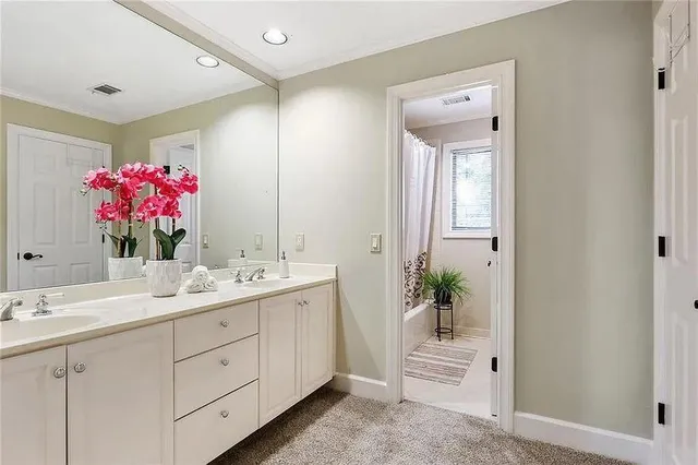 a bathroom with a sink mirror and a shower