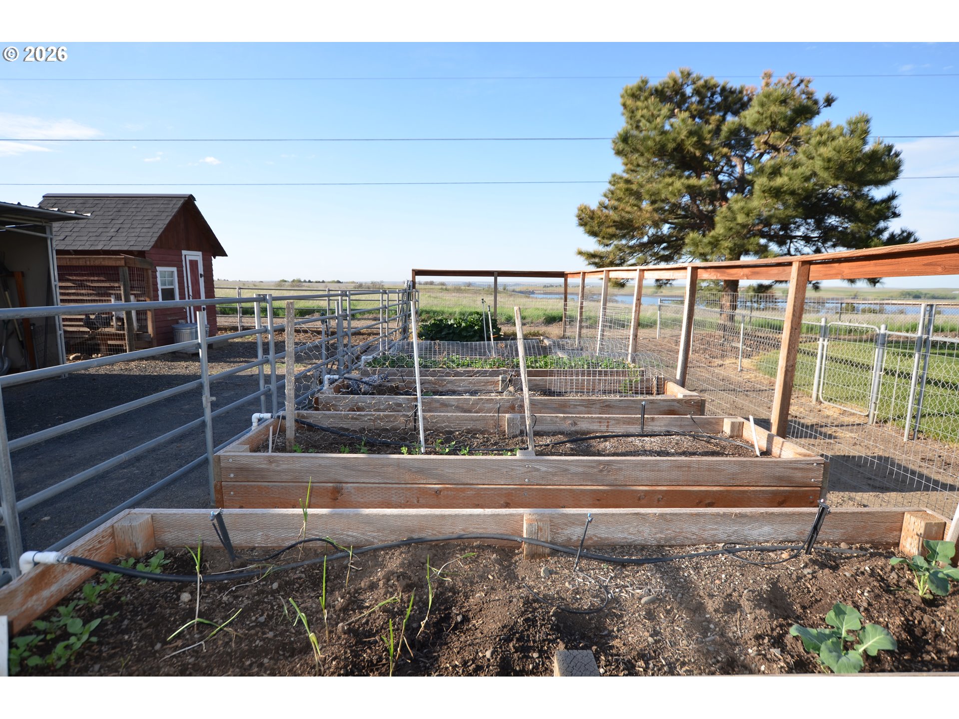 43765 Buckboard Trail Road Pendleton, OR 97801 - Photo 11 of 38