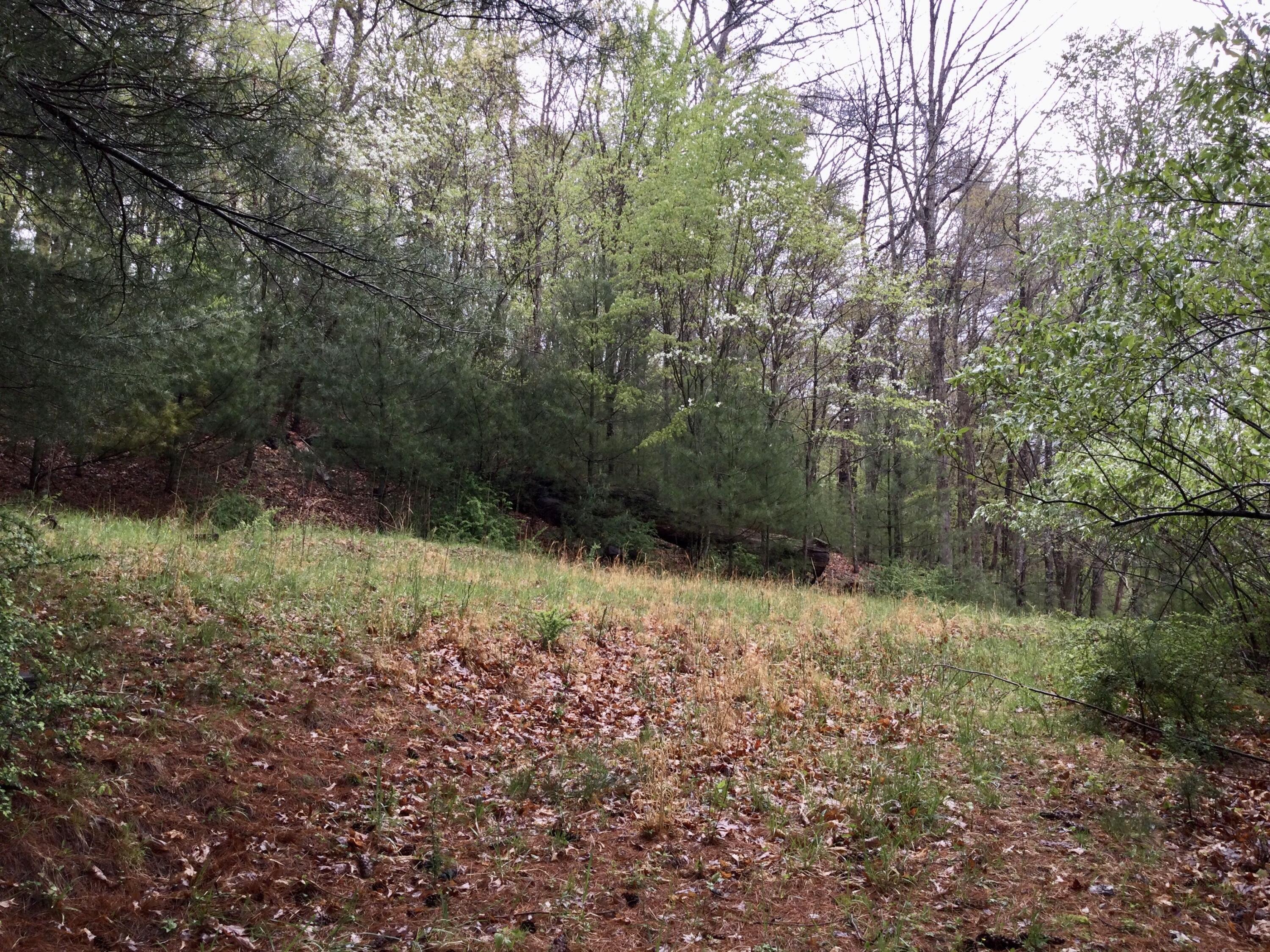 12949 Cass Road Cass, WV 24927 - Photo 6 of 22 Gallery Image 6