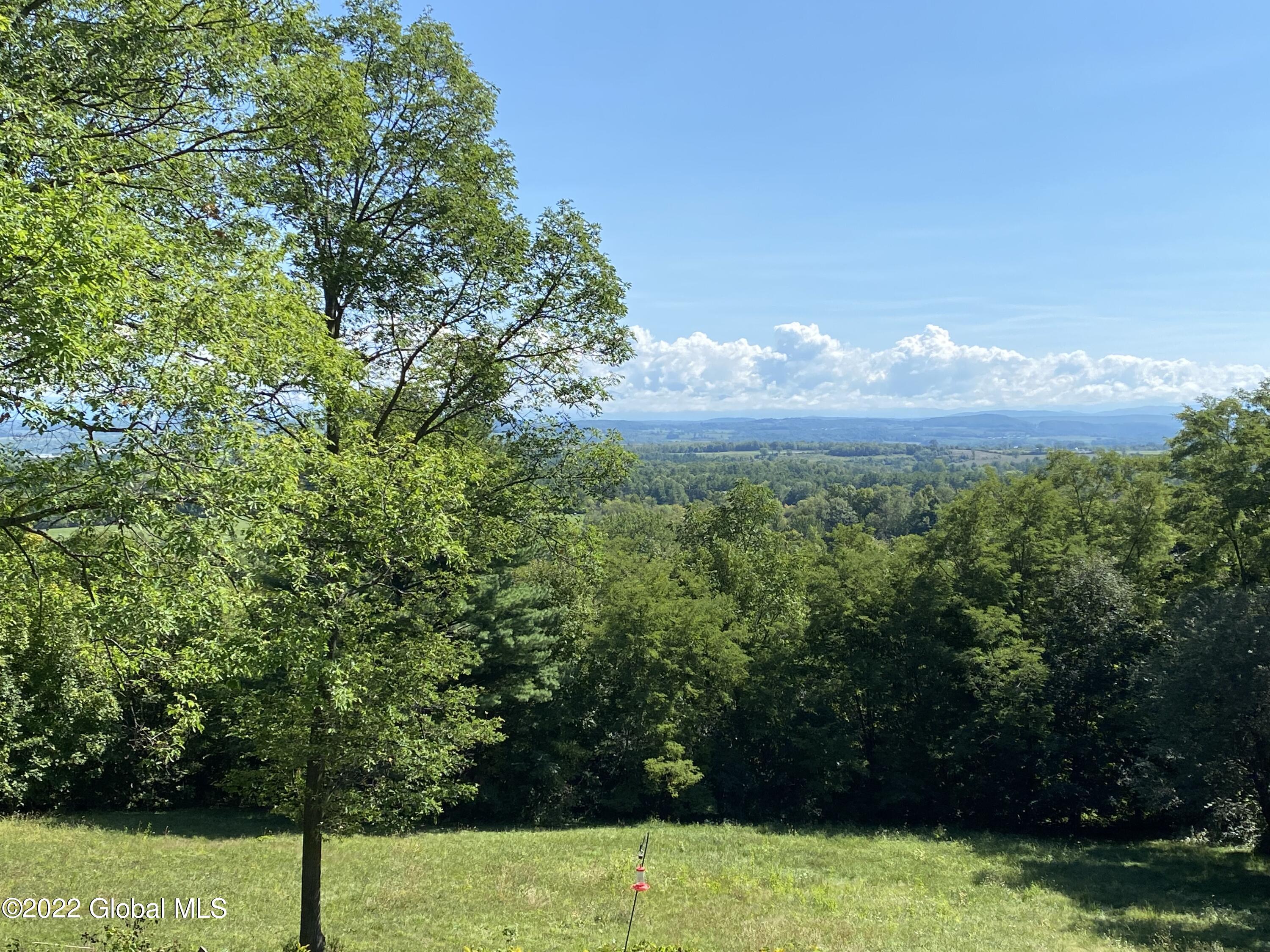 58 Vineyard Road Ticonderoga, NY 12883 - Photo 23 of 24 IMG_7977
