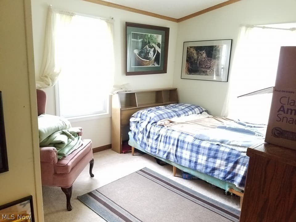 8217 Morris Road Orwell, OH 44076 - Photo 10 of 17