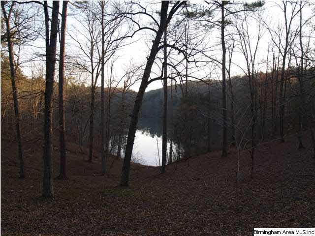 125 Hollow Road South Hayden, AL 35079 - Photo 24 of 30