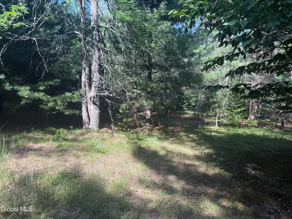 $165,000 | 375 Ormsbee Road, Greenfield, NY 12859