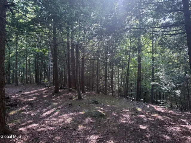 $165,000 | 375 Ormsbee Road, Greenfield, NY 12859