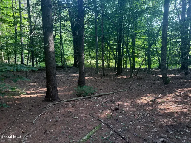 $165,000 | 375 Ormsbee Road, Greenfield, NY 12859