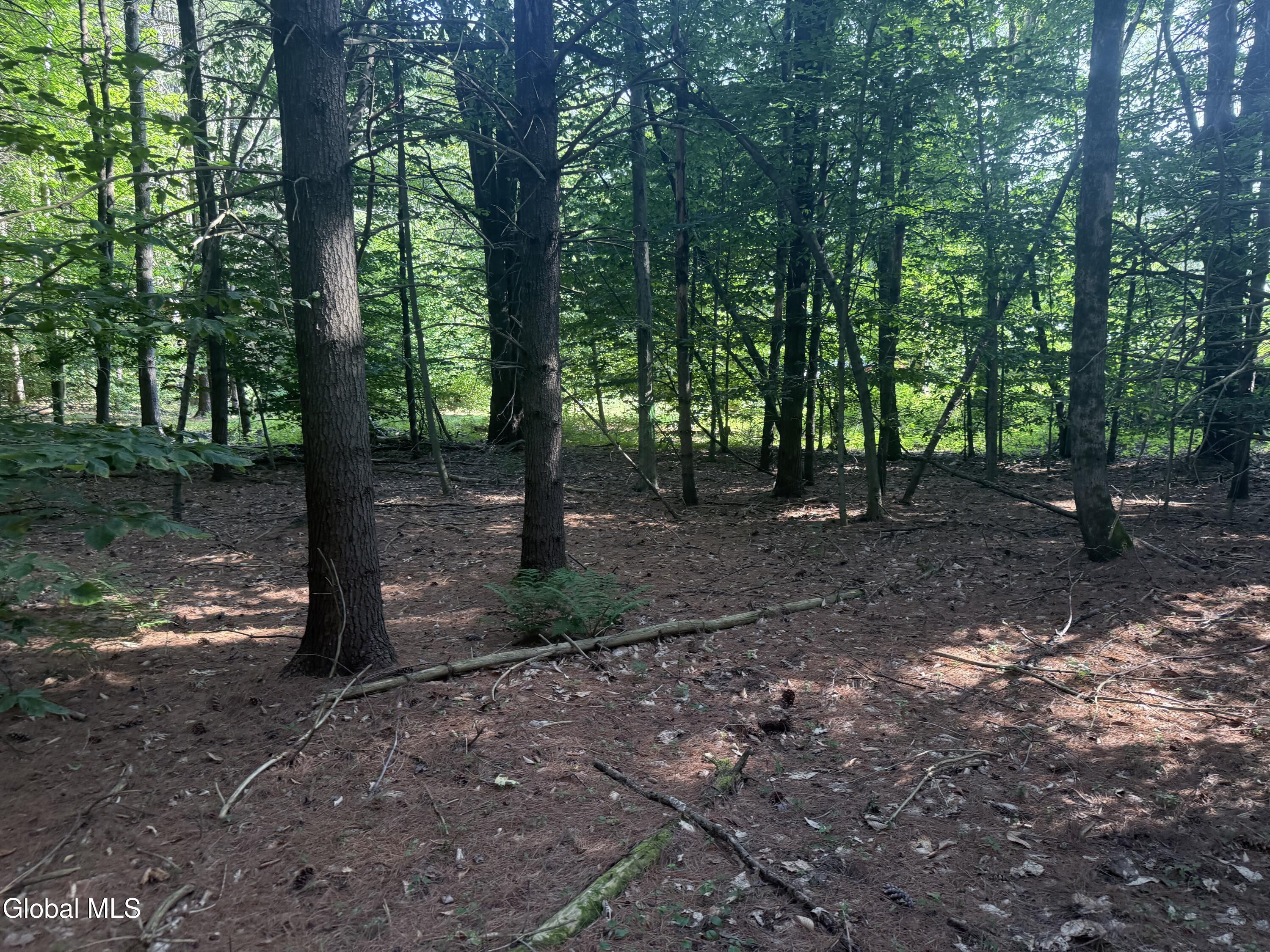 375 Ormsbee Road Greenfield, NY 12859 - Photo 6 of 6 IMG_2838