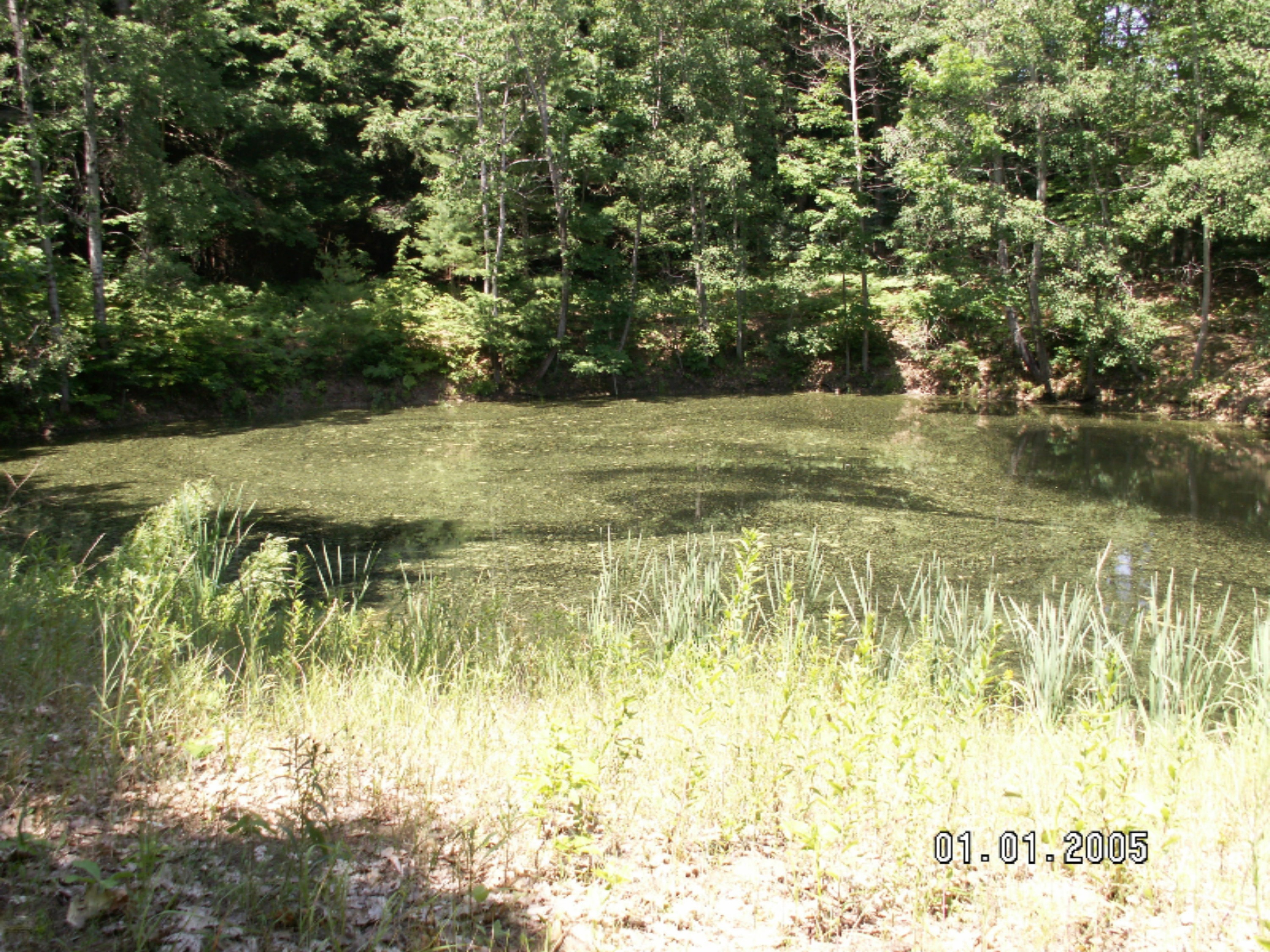 West White Road Free Soil, MI 49411 - Photo 1 of 26 PICT0476