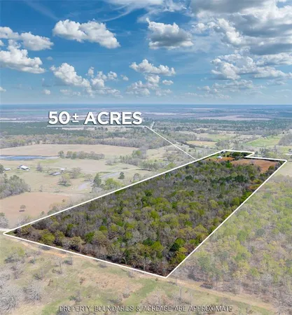 $395,000 | 48 County Road 2360, Bagwell, TX 75412