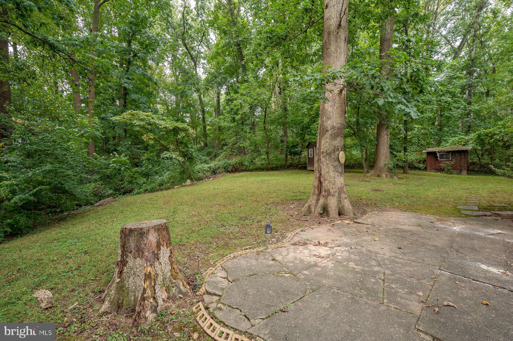 6649 Kerns Road Falls Church, VA 22042 - Photo 5 of 18