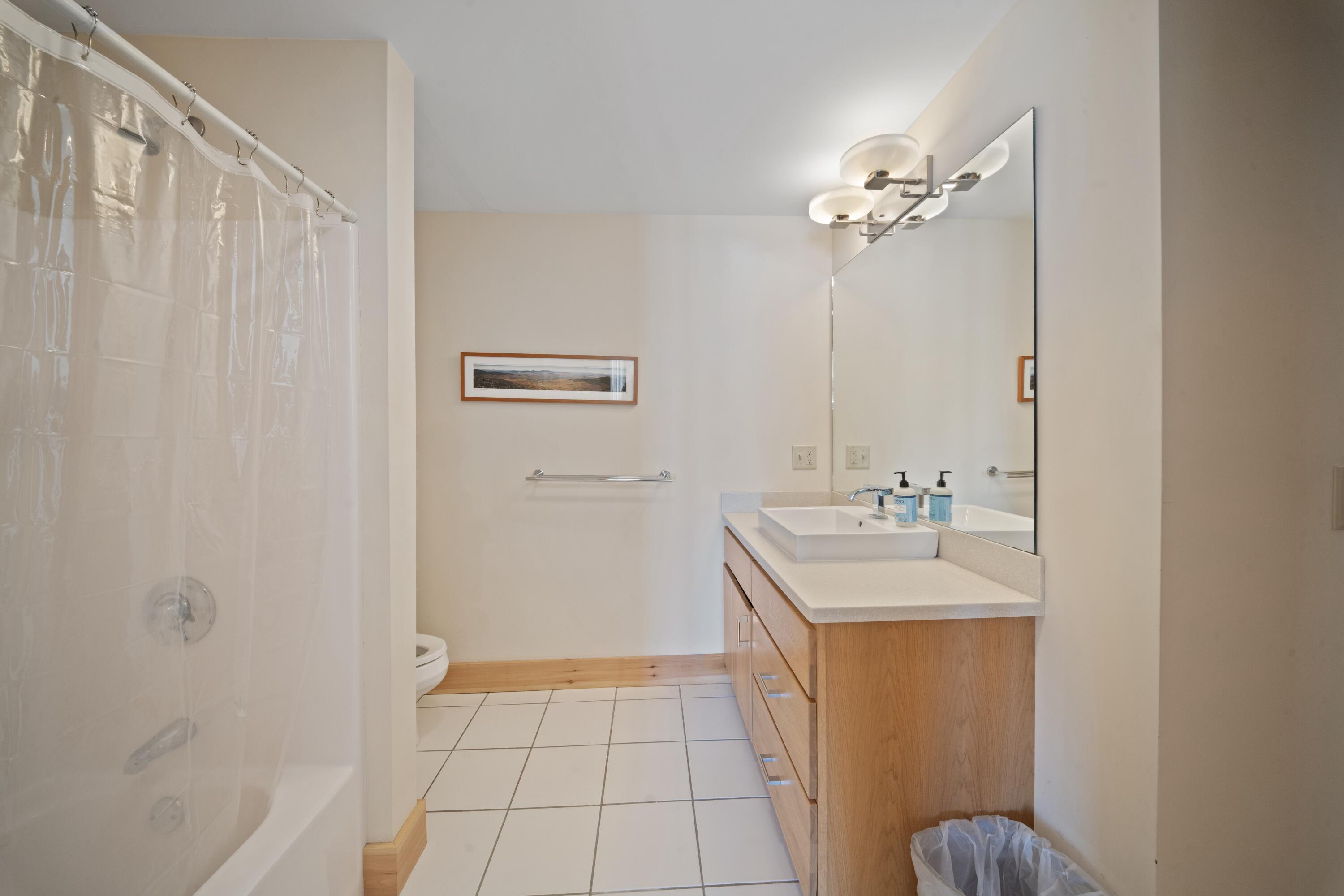 42 Whip Willow Farm Road, Unit 19 Rangeley, ME 04970 - Photo 34 of 51 Lower Level Full Bath