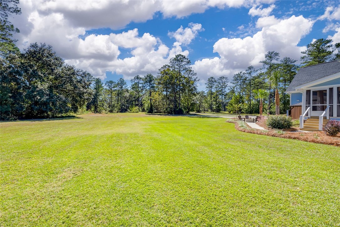 1045 Par Drive Townsend, GA 31331 - Photo 64 of 87