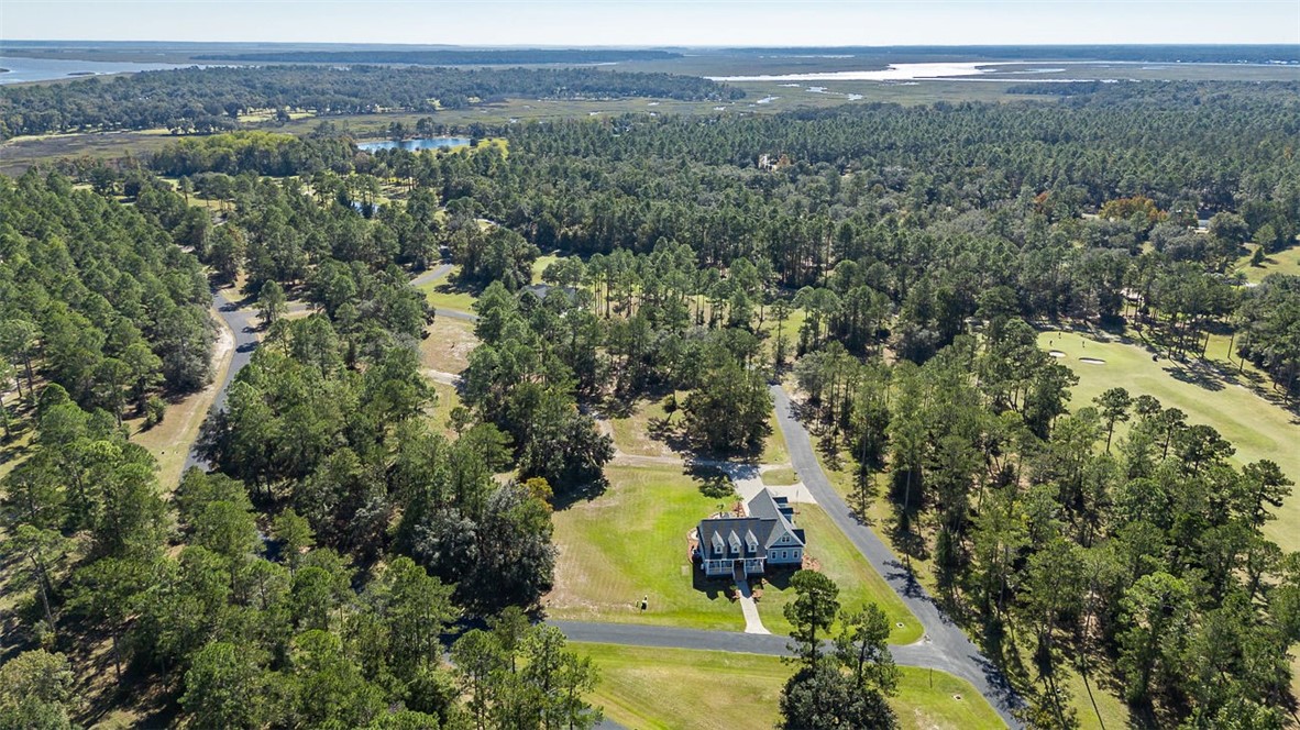 1045 Par Drive Townsend, GA 31331 - Photo 66 of 87