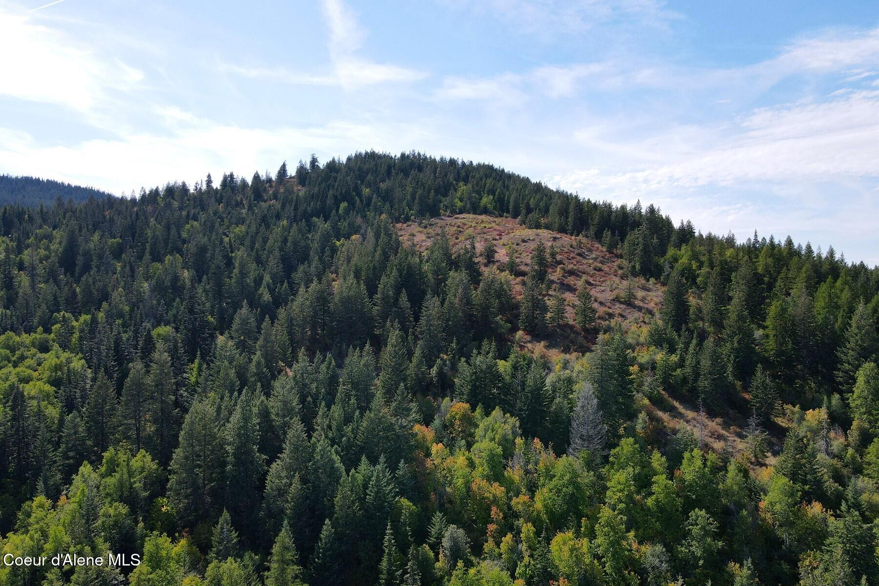 10 Acres Road Laclede, ID 83841 - Photo 3 of 13 11