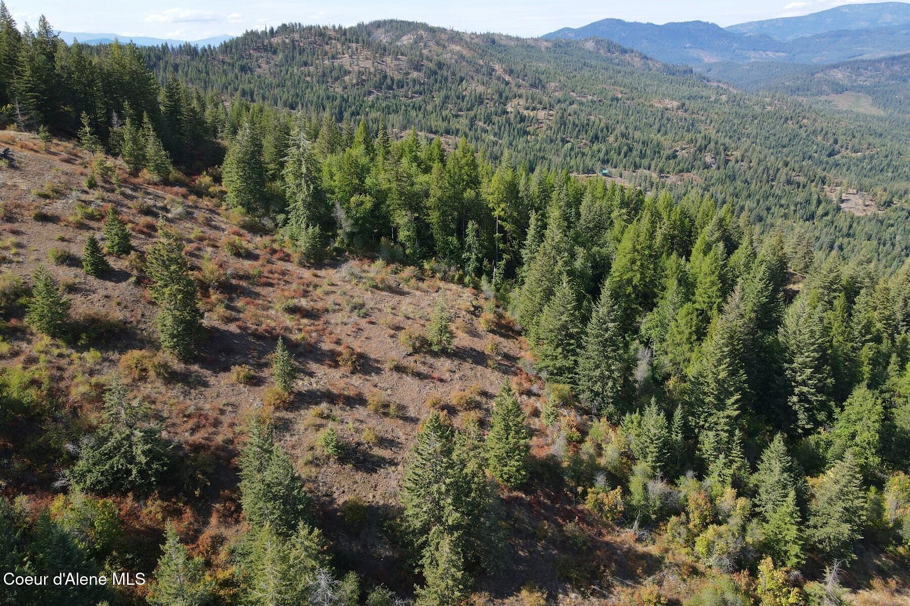10 Acres Road Laclede, ID 83841 - Photo 4 of 13 03