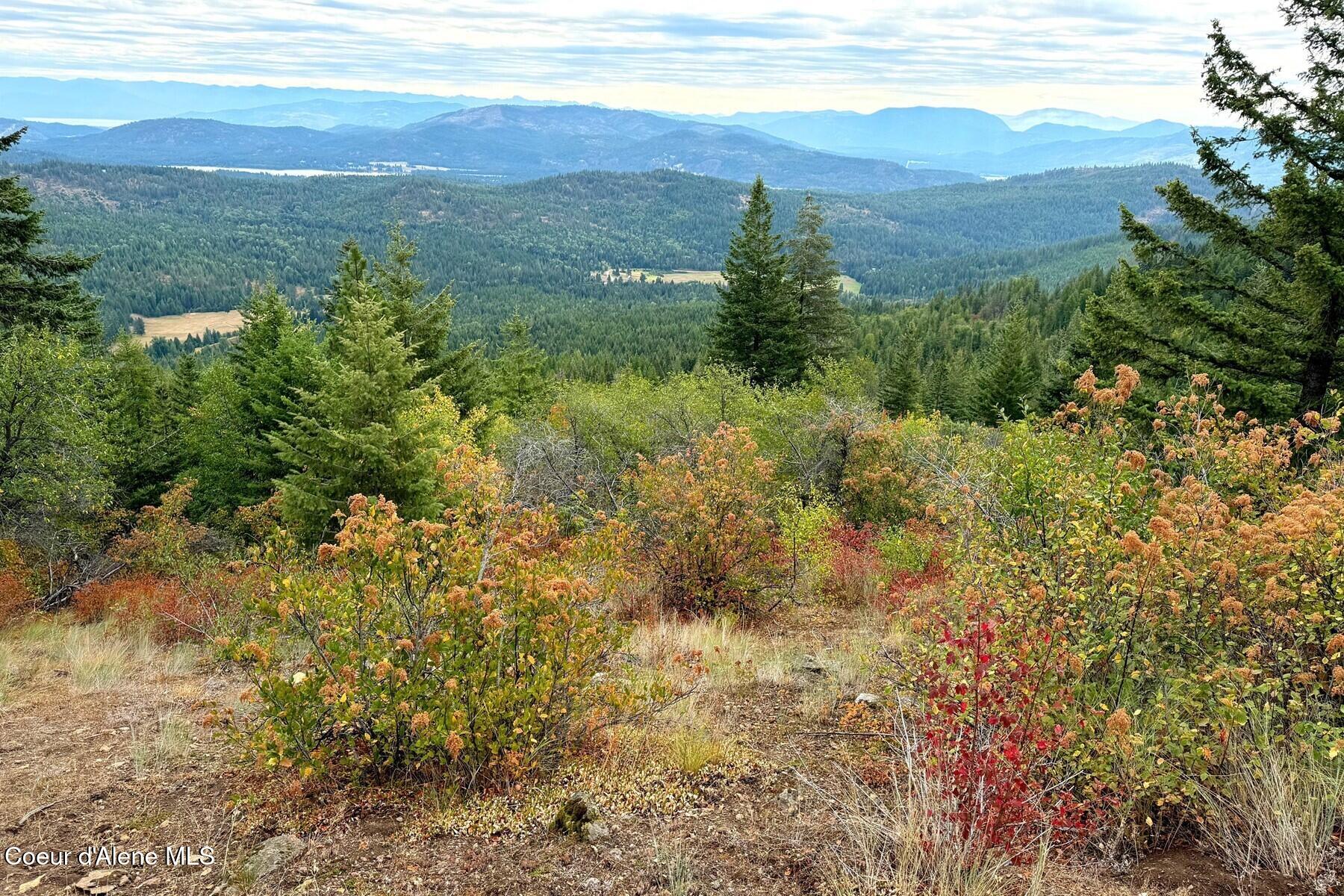 10 Acres Road Laclede, ID 83841 - Photo 7 of 13 06