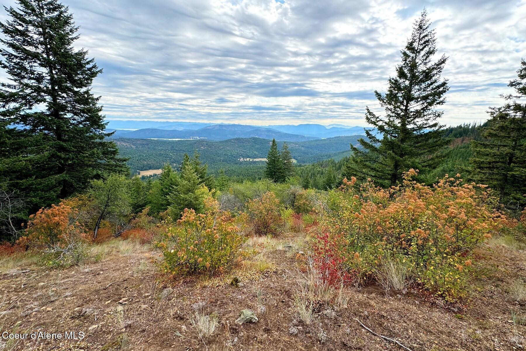 10 Acres Road Laclede, ID 83841 - Photo 8 of 13 07