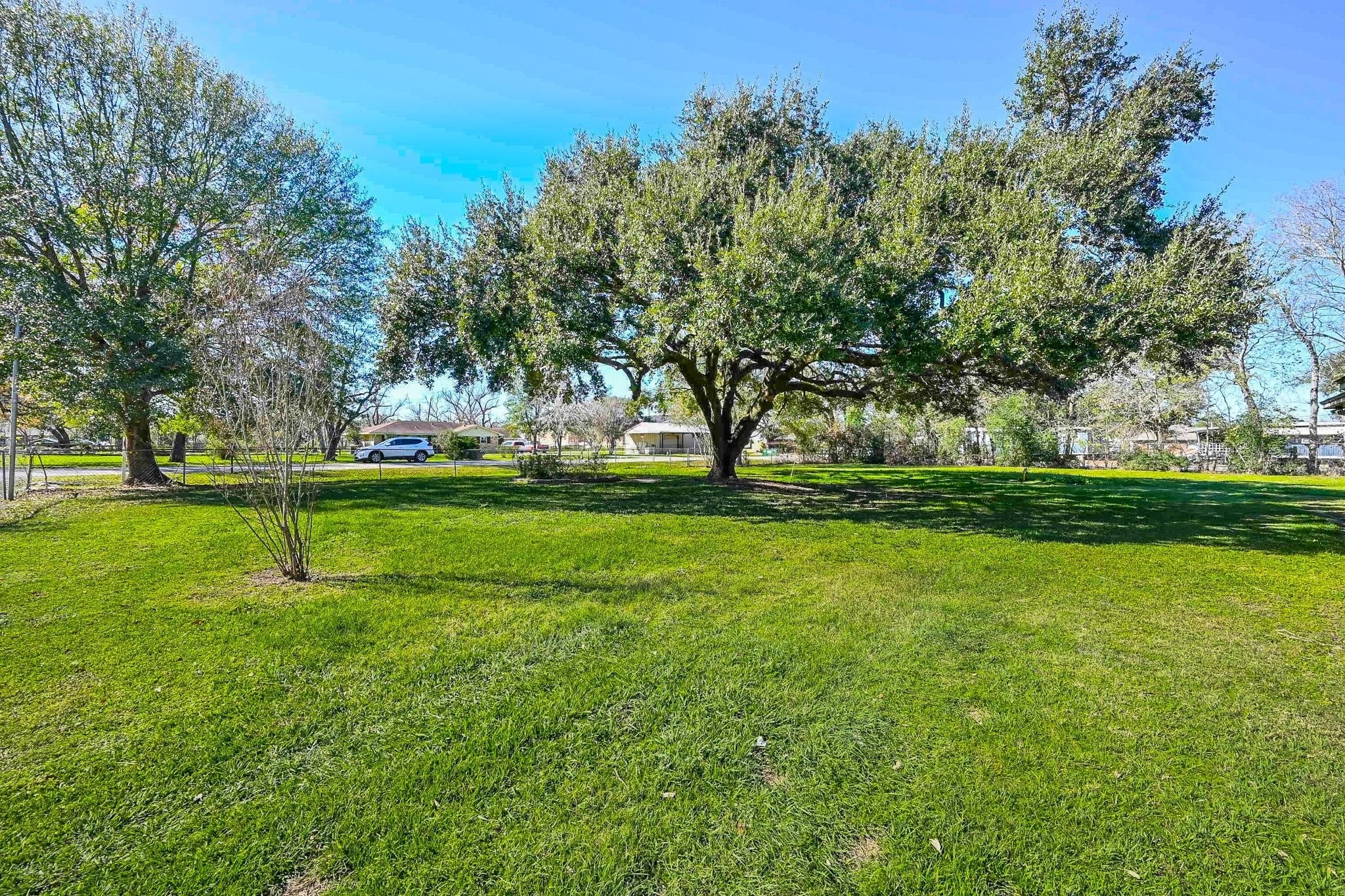 18910 Carrot Street Spring, TX 77379 - Photo 15 of 48 a view of a park with trees and grass