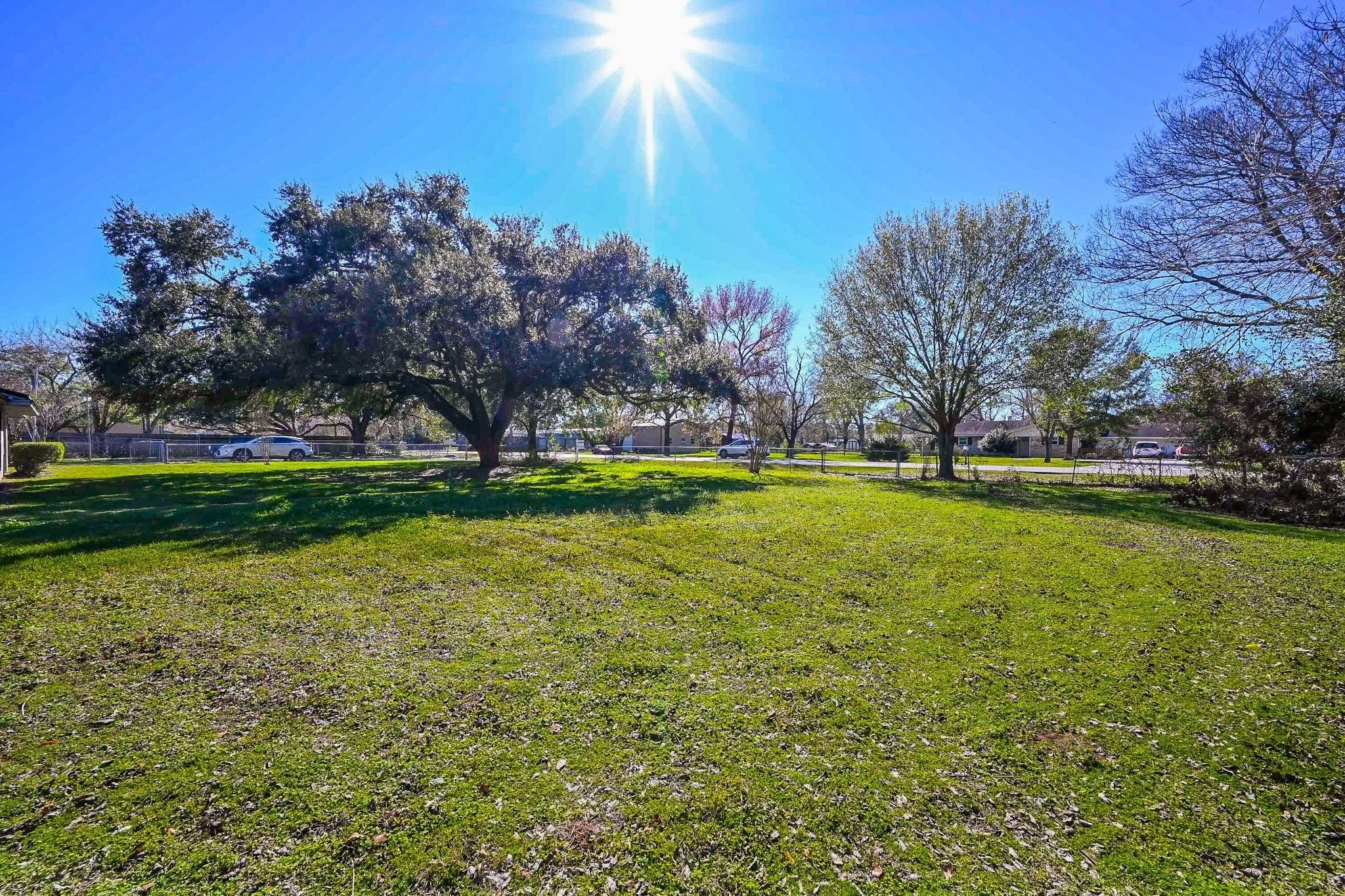 18910 Carrot Street Spring, TX 77379 - Photo 20 of 48 a view of a park with large trees