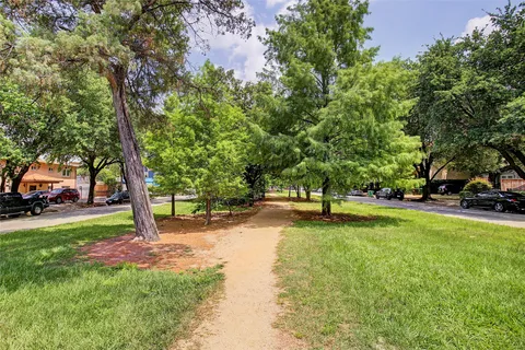 a view of a tree in a park