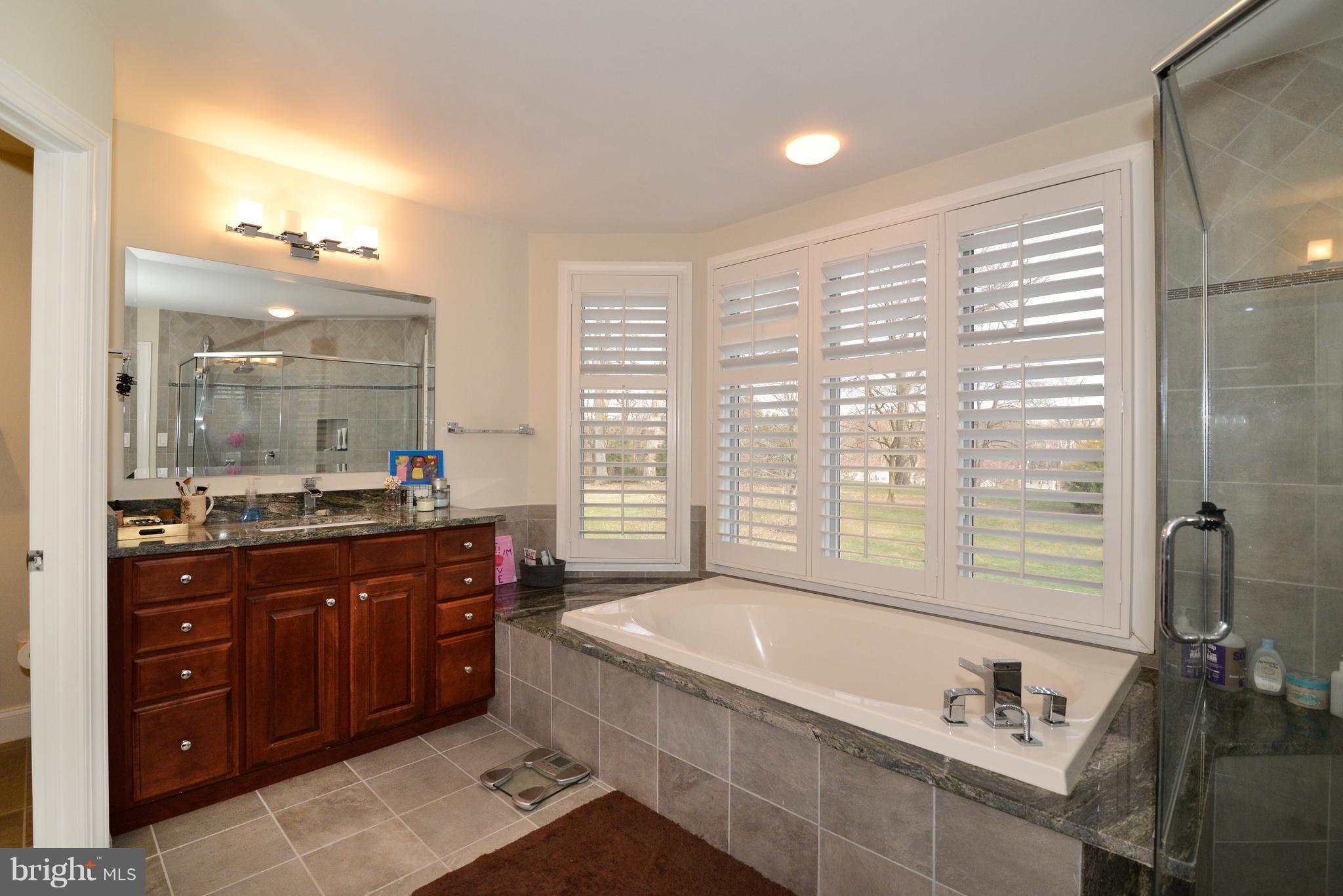 1763 Proffit Road Vienna, VA 22182 - Photo 4 of 30 a spacious bathroom with a tub sink double vanity and mirror