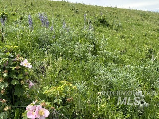 0 American Ridge Road Kendrick, ID 83537 - Photo 7 of 14
