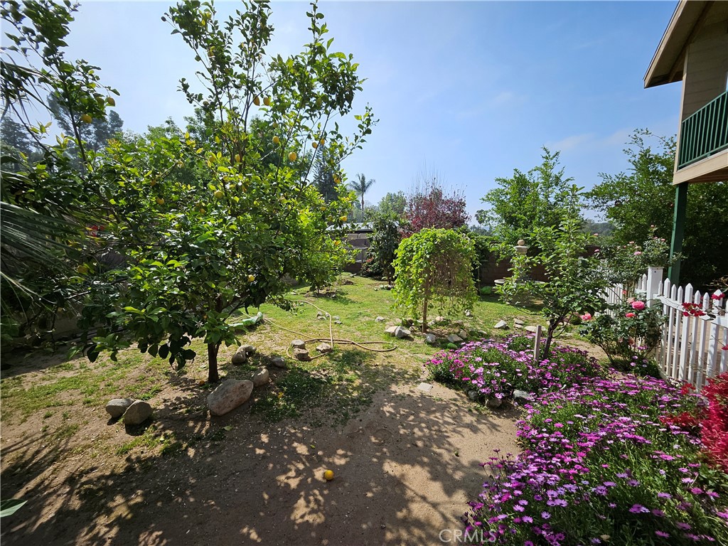 9740 La Canada Way Shadow Hills, CA 91040 - Photo 20 of 28 a view of a tree with a flower in a garden