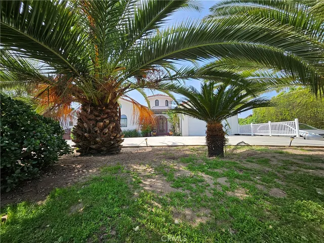 a view of a yard with plants and trees
